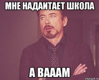 Мне надаитает школа А вааам