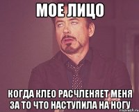 Мое лицо Когда Клео расчленяет меня за то что наступила на ногу