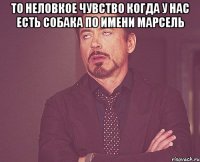 То неловкое чувство когда у нас есть собака по имени Марсель 