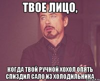 твое лицо, когда твой ручной хохол опять спиздил сало из холодильника