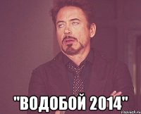  "Водобой 2014"