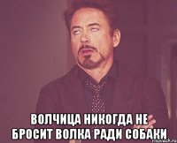  волчица никогда не бросит волка ради собаки