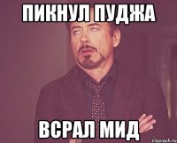 ПИКНУЛ ПУДЖА ВСРАЛ МИД