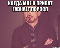 Когда мне в приват гавкает порося 