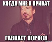 Когда мне в приват гавкает порося