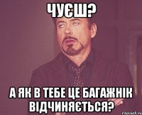 чуєш? а як в тебе це багажнік відчиняється?