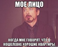 Мое лицо Когда мне говорят, что в Кошелевке хорошие квартиры