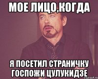Мое лицо,когда я посетил страничку Госпожи Цулукидзе