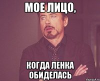 мое лицо, когда Ленка обиделась