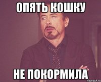 опять кошку не покормила