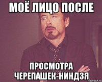 моё лицо после просмотра черепашек-ниндзя