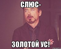 Слюс- золотой ус!