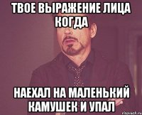 твое выражение лица когда наехал на маленький камушек и упал
