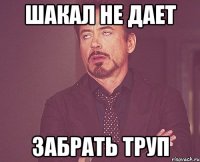 Шакал не дает забрать труп