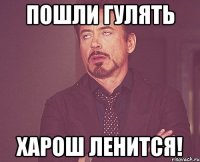 Пошли гулять Харош ленится!