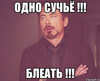 ОДНО СУЧЬЁ !!! БЛЕАТЬ !!!