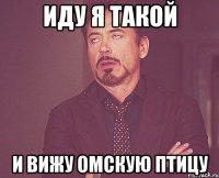 Иду я такой и вижу Омскую птицу
