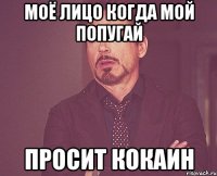 МОЁ ЛИЦО КОГДА МОЙ ПОПУГАЙ ПРОСИТ КОКАИН