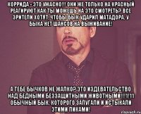 Коррида - это ужасно!!! Они же только на красный реагируют Как ты можешь на это смотреть? Все зрители хотят, чтобы бык ударил матадора. У быка нет шансов на выживание! А тебе бычков не жалко? Это издевательство над бедными беззащитными животными!!!1!11 Обычный бык, которого запугали и истыкали этими пиками!