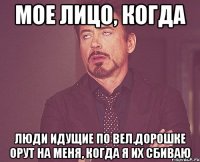 Мое лицо, когда Люди идущие по вел.дорошке орут на меня, когда я их сбиваю