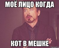 моё лицо когда кот в мешке