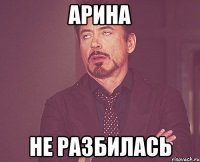 АРИНА НЕ РАЗБИЛАСЬ