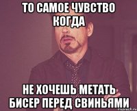 то самое чувство когда не хочешь метать бисер перед свиньями