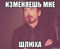 изменяешь мне шлюха