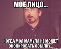 Моё лицо... когда моя мамуля не может скопировать ссылку...