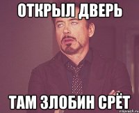 открыл дверь там злобин срёт