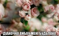  Діаночка вибач мені будьлака