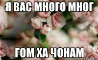 я вас много мног гом ха чонам