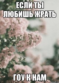 Если ты любишь жрать Гоу к нам