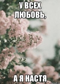 У всех любовь, а я Настя