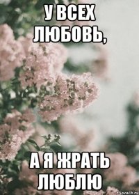 У всех любовь, а я жрать люблю
