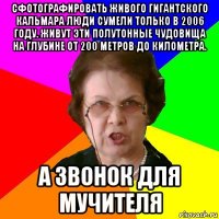 Сфотографировать живого гигантского кальмара люди сумели только в 2006 году. Живут эти полутонные чудовища на глубине от 200 метров до километра. А звонок для мучителя