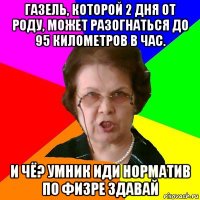 Газель, которой 2 дня от роду, может разогнаться до 95 километров в час. И чё? умник иди норматив по физре здавай