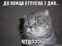 До конца отпуска 2 дня... Что???