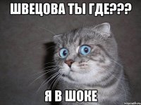 Швецова ты где??? Я в шоке