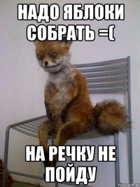 Надо яблоки собрать =( На речку не пойду