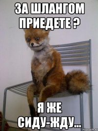 За шлангом приедете ? Я же сиду-жду...