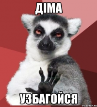 діма узбагойся