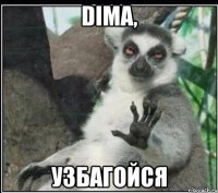 DIMA, узбагойся