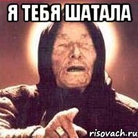 я тебя шатала 