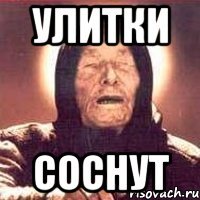 УЛИТКИ СОСНУТ