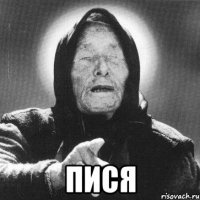  Пися