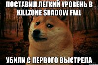 поставил легкий уровень в Killzone Shadow Fall убили с первого выстрела