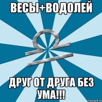 ВЕСЫ+ВОДОЛЕЙ Друг от друга без ума!!!