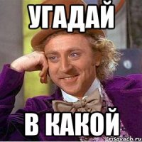 угадай в какой