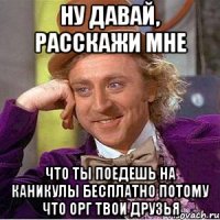 Ну давай, расскажи мне Что ты поедешь на каникулы бесплатно потому что орг твои друзья